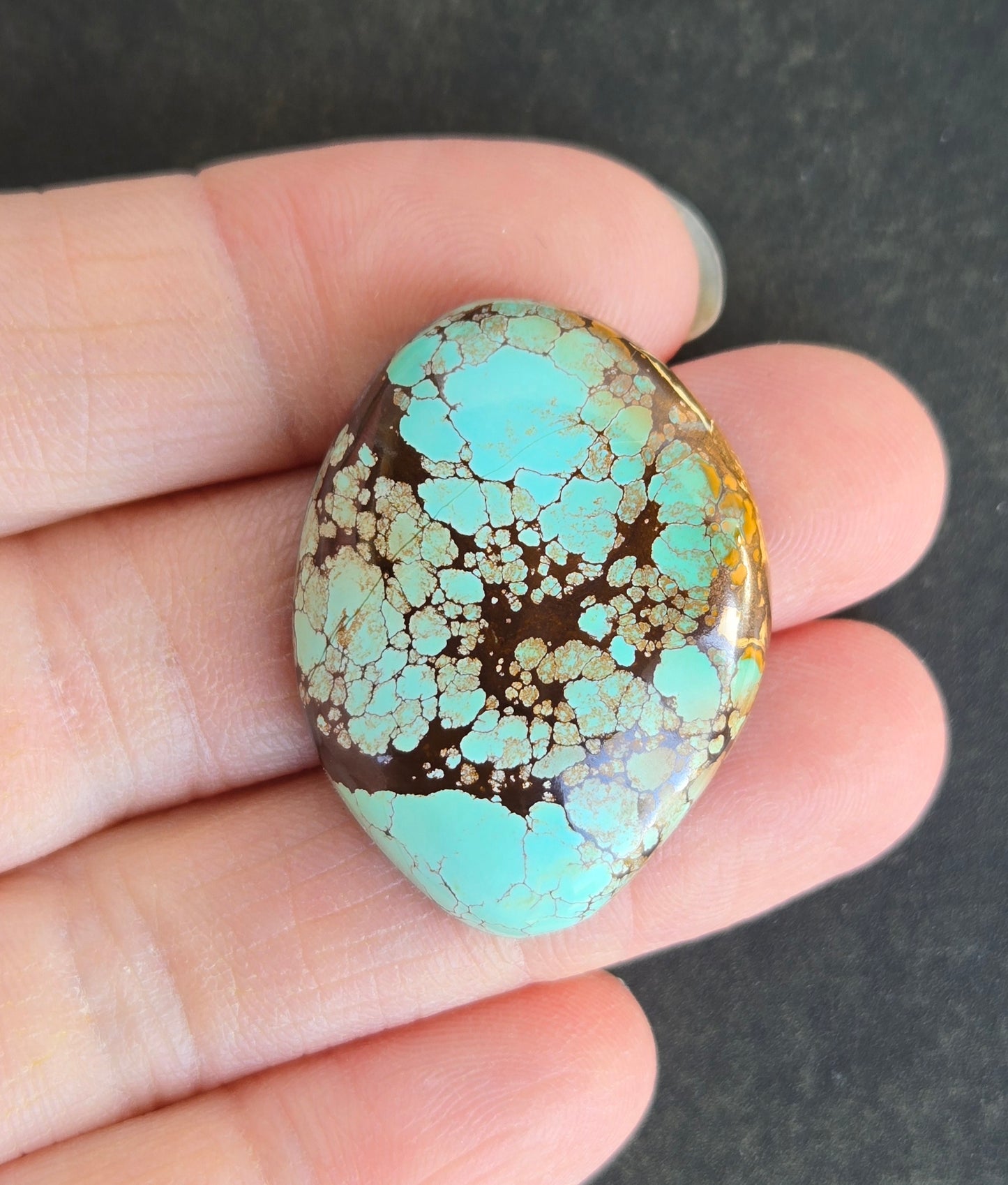 Natural Thunder Mountain Turquoise Cabochon