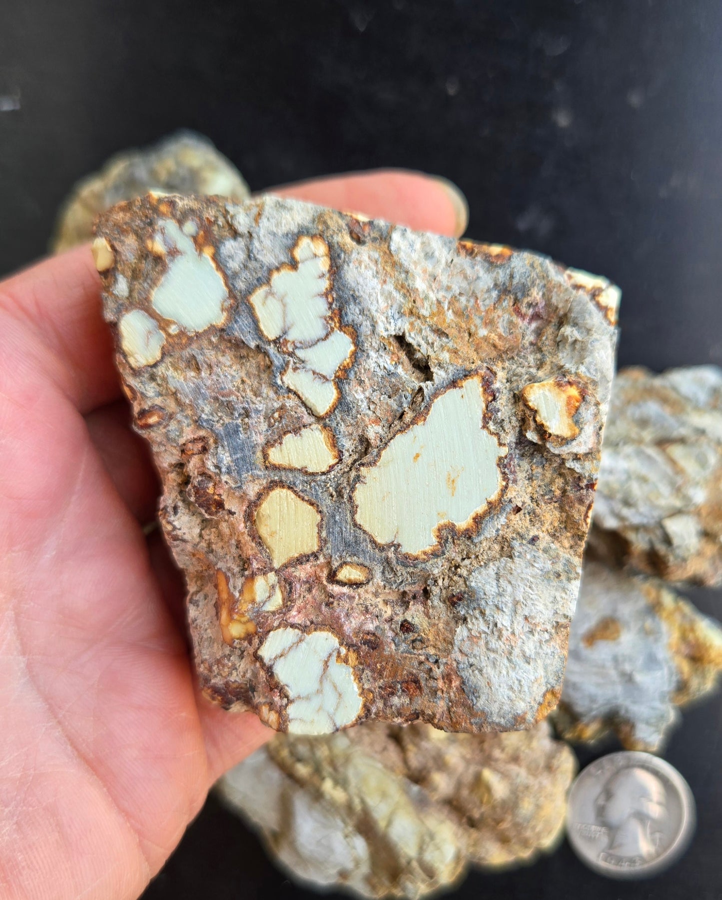Aloe Variscite rough for cabbing - Natural Nevada Variscite-448 grams lot 1