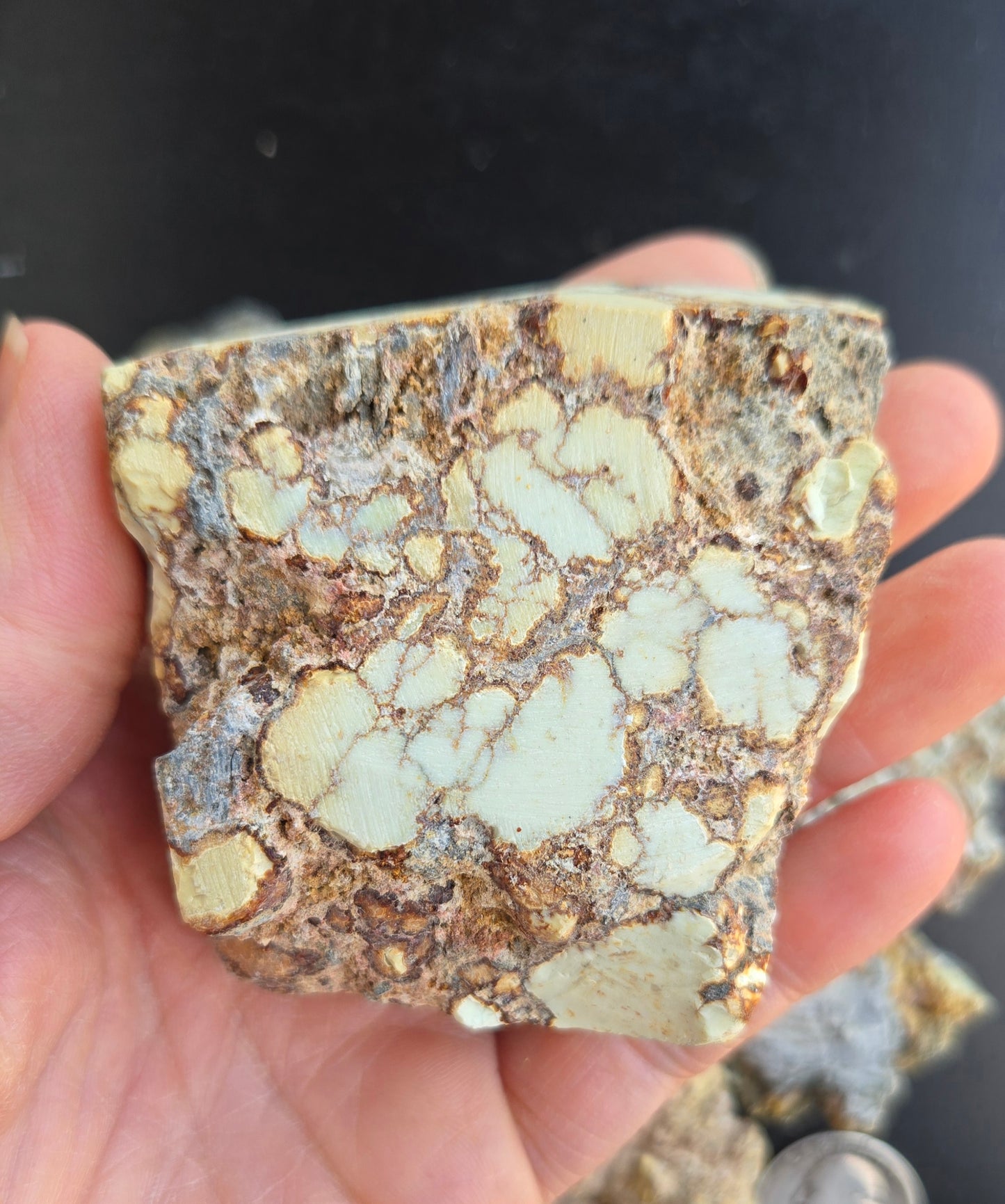 Aloe Variscite rough for cabbing - Natural Nevada Variscite-448 grams lot 1