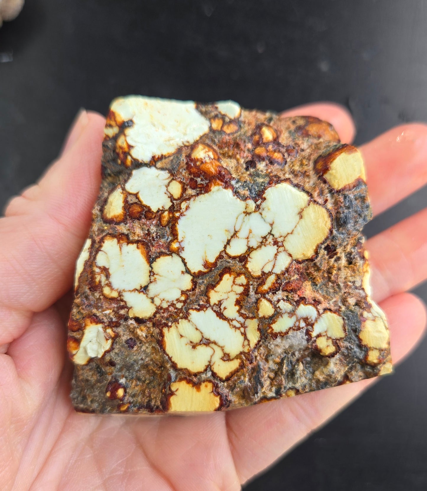 Aloe Variscite rough for cabbing - Natural Nevada Variscite-448 grams lot 1