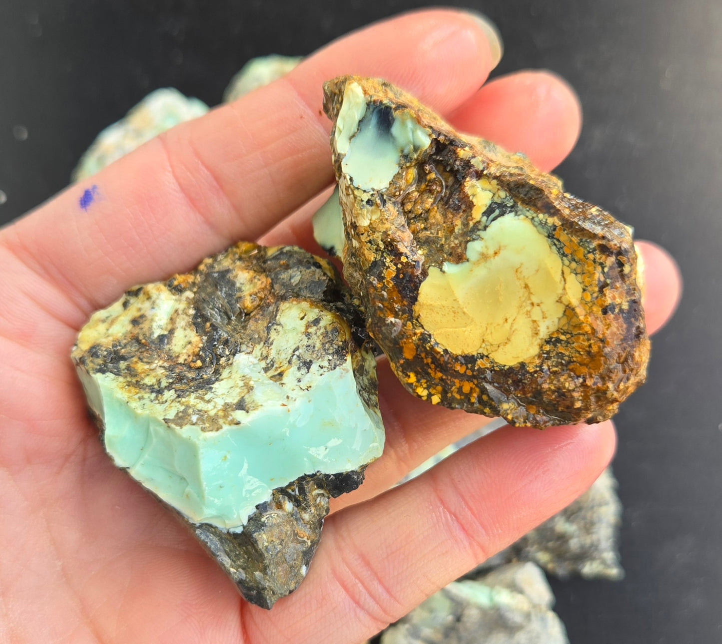 Gecko Variscite rough for cabbing -Natural Nevada Variscite- 448 grams lot 2
