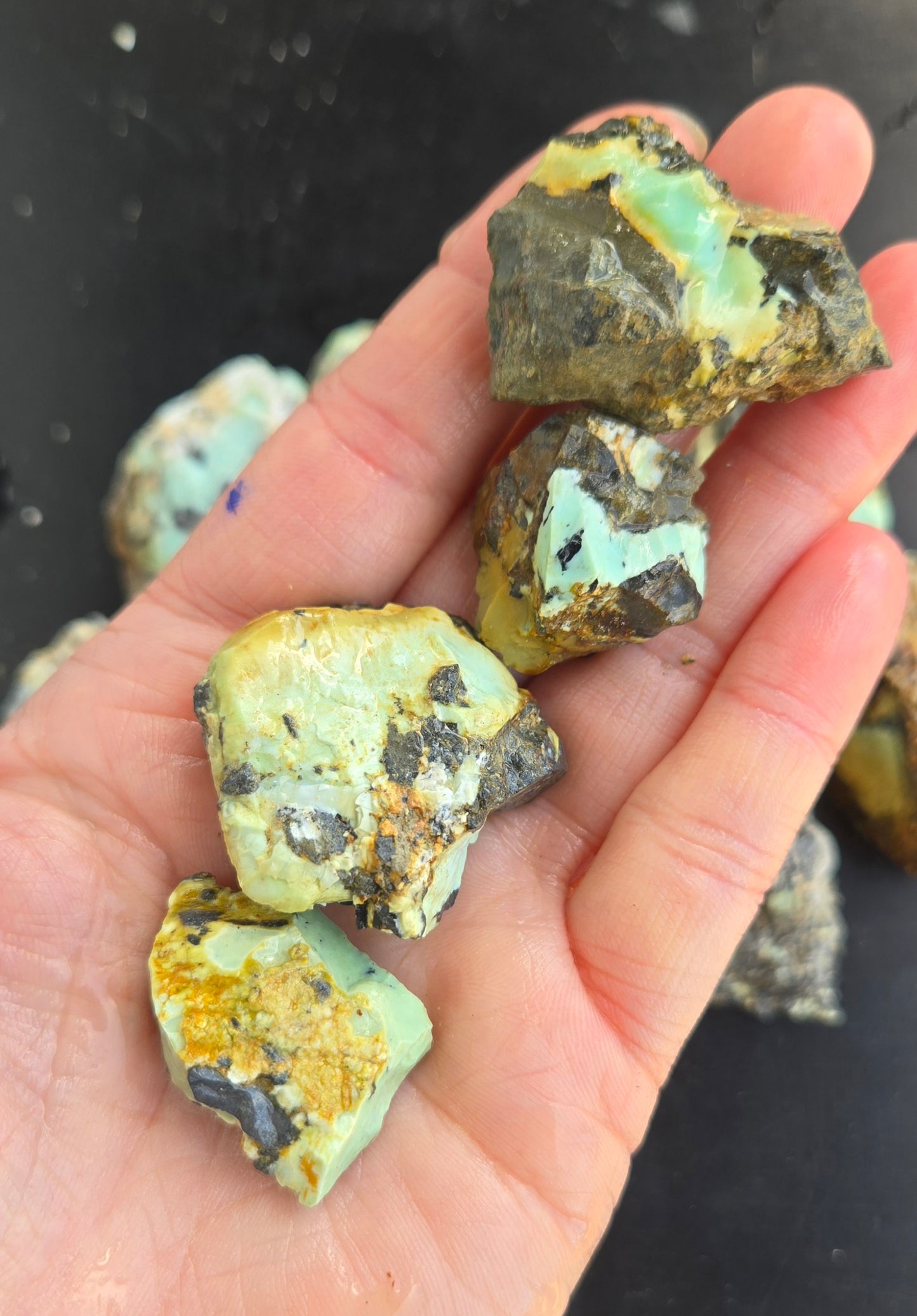 Gecko Variscite rough for cabbing -Natural Nevada Variscite- 448 grams lot 2