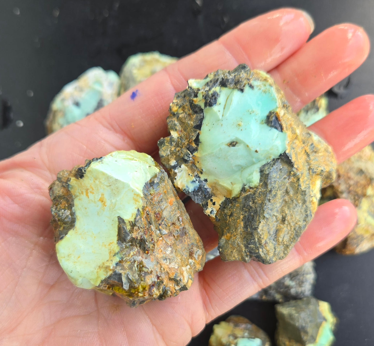 Gecko Variscite rough for cabbing -Natural Nevada Variscite- 448 grams lot 2