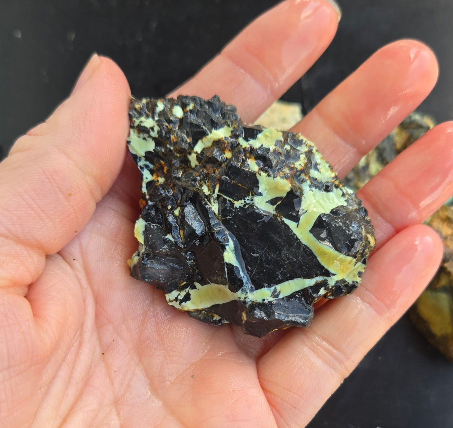 Gecko Variscite rough for cabbing -Natural Nevada Variscite- 448 grams lot 2