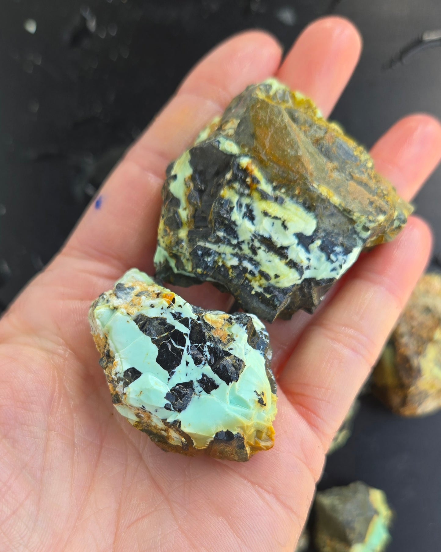 Gecko Variscite rough for cabbing -Natural Nevada Variscite- 448 grams lot 2