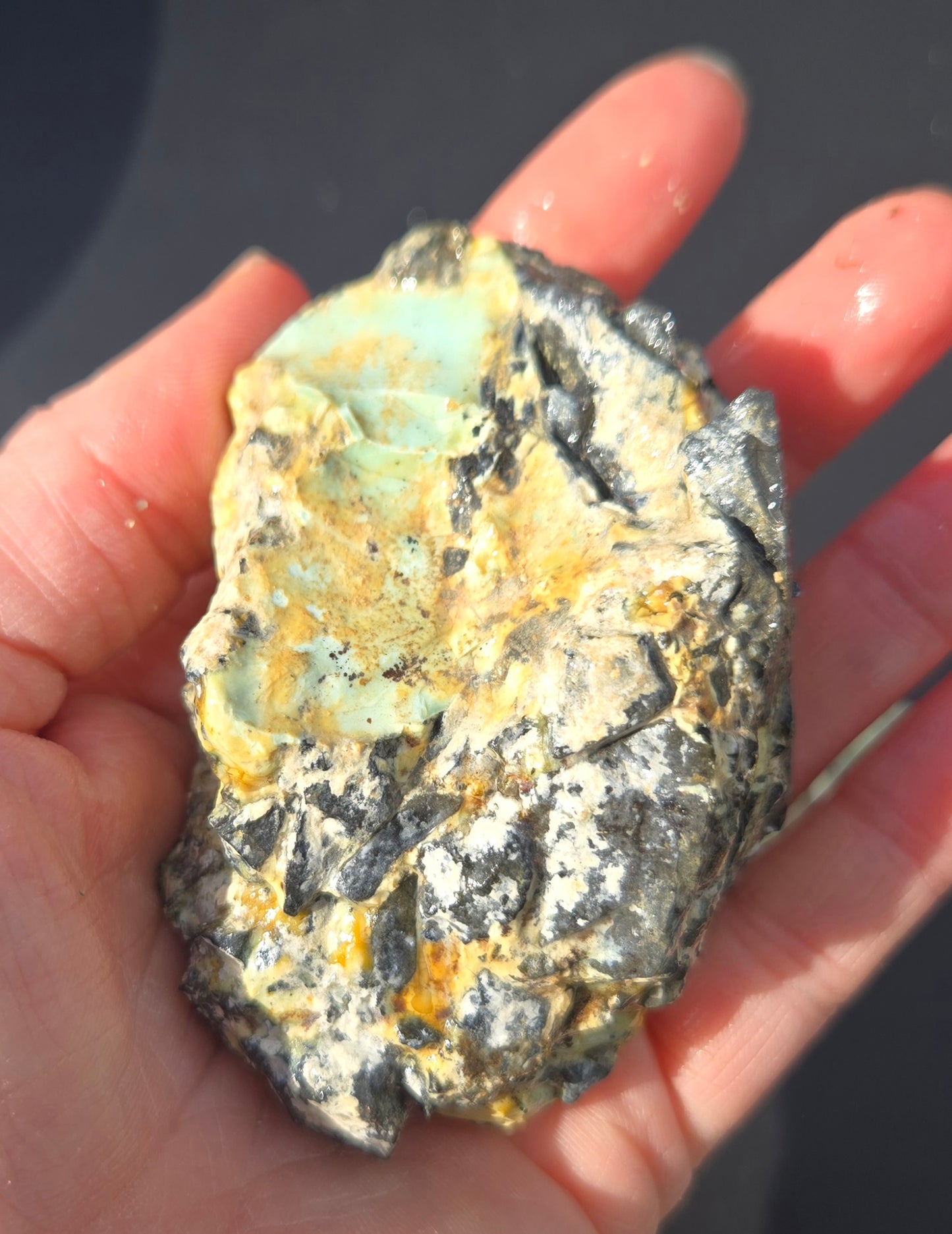 Gecko Variscite rough for cabbing -Natural Nevada Variscite- 448 grams lot 3