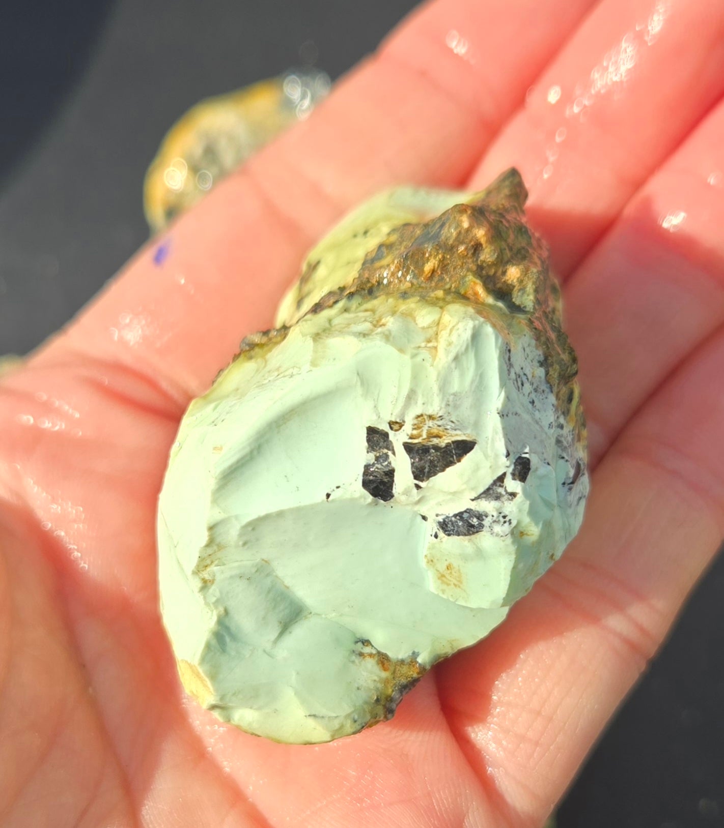Gecko Variscite rough for cabbing -Natural Nevada Variscite- 448 grams lot 3