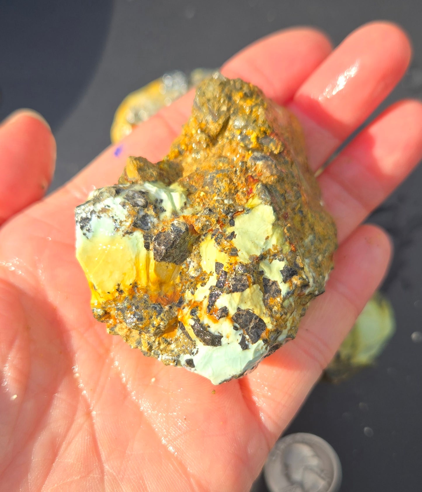 Gecko Variscite rough for cabbing -Natural Nevada Variscite- 448 grams lot 3