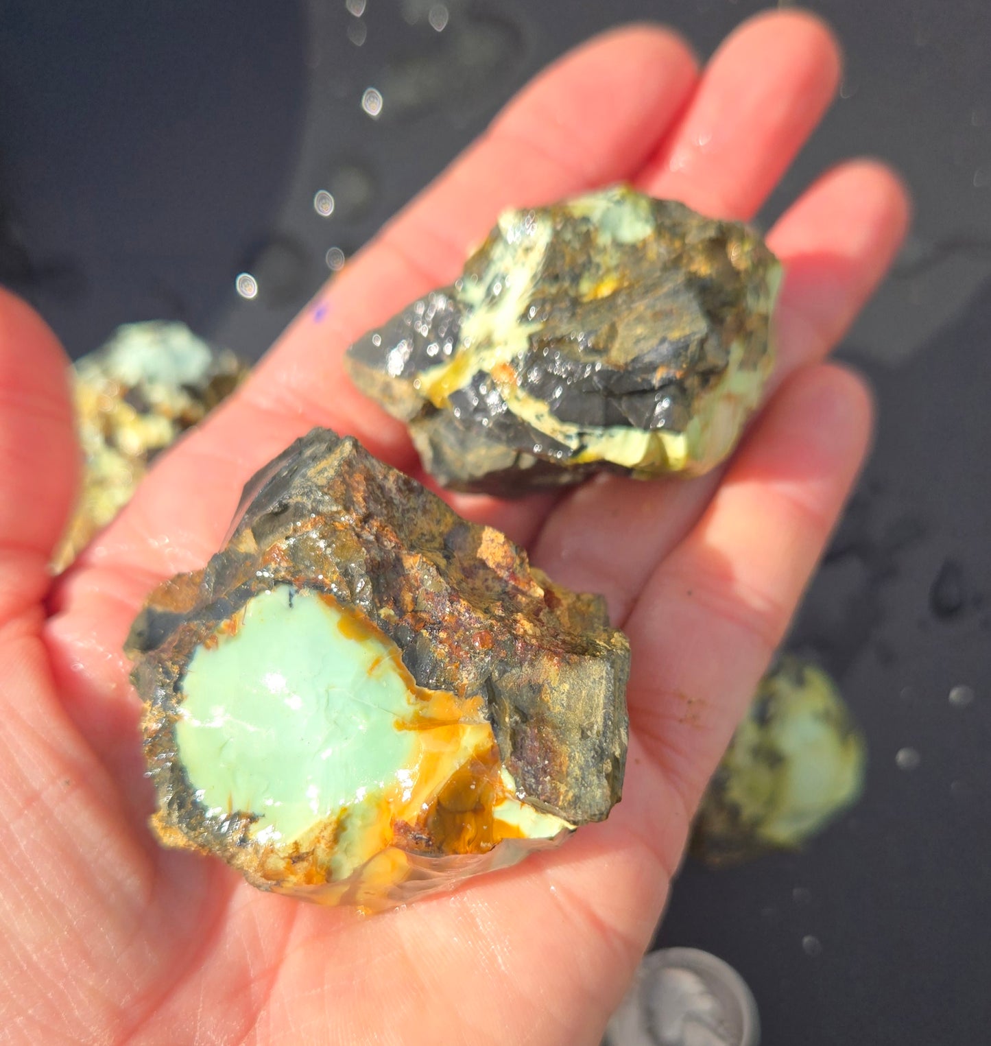 Gecko Variscite rough for cabbing -Natural Nevada Variscite- 448 grams lot 3