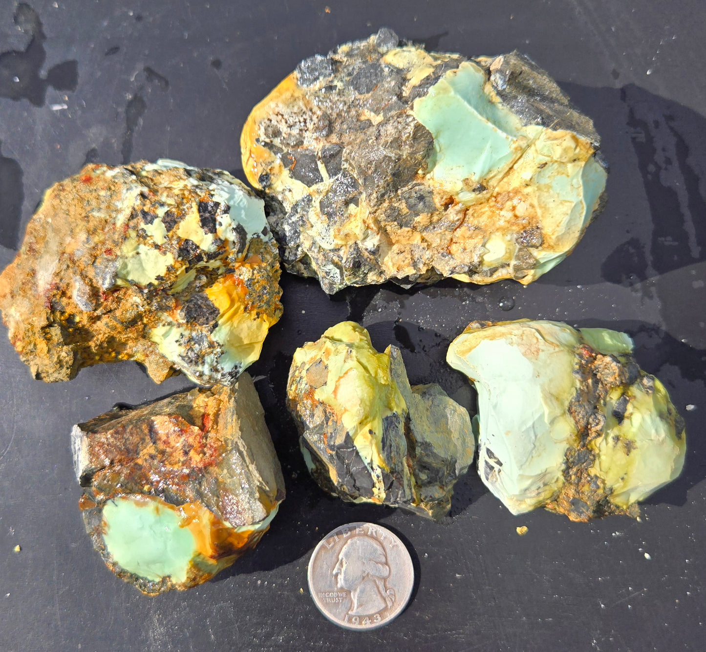 Gecko Variscite rough for cabbing -Natural Nevada Variscite- 448 grams lot 3