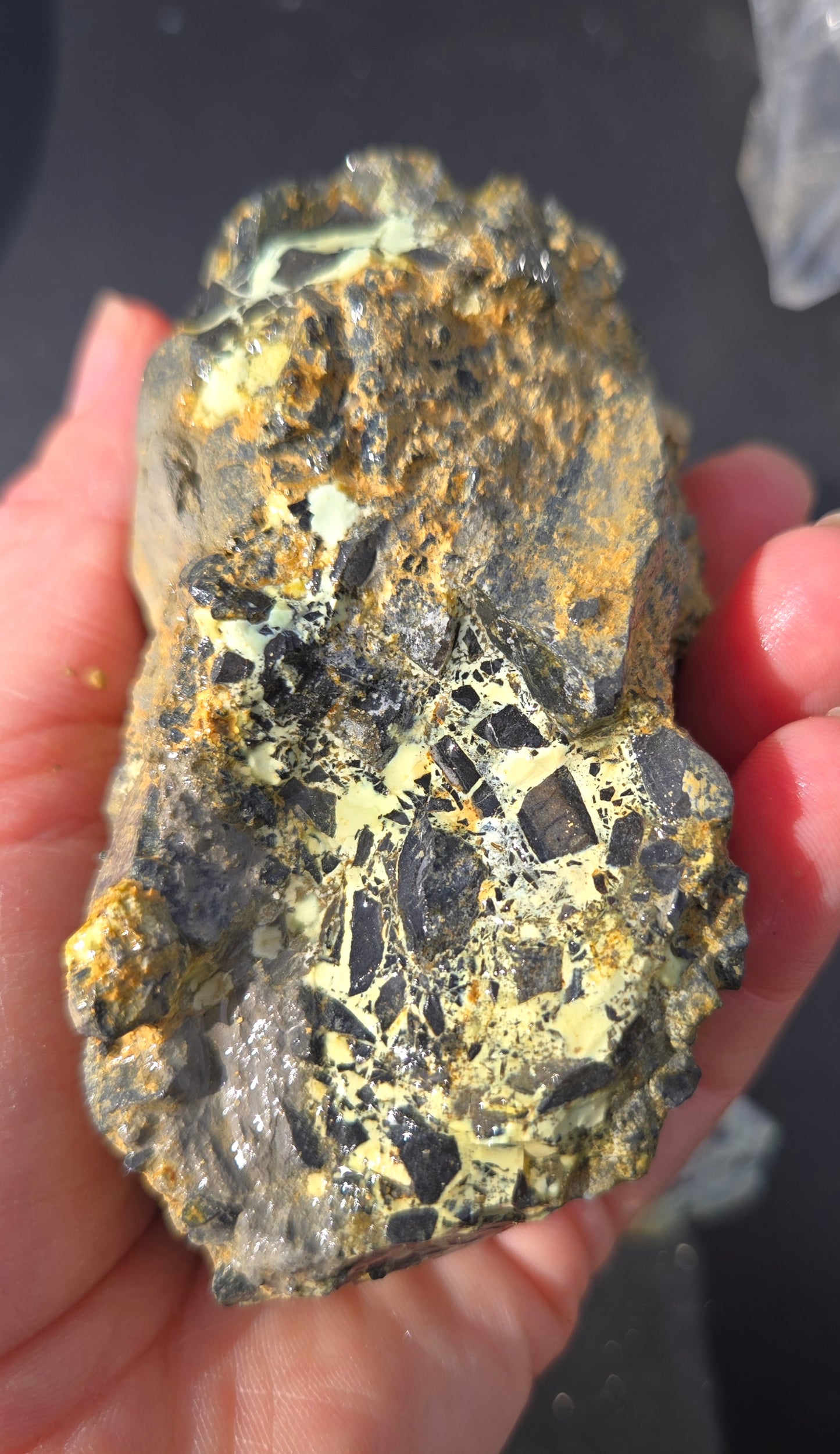 Gecko Variscite rough for cabbing -Natural Nevada Variscite- 448 grams lot 1