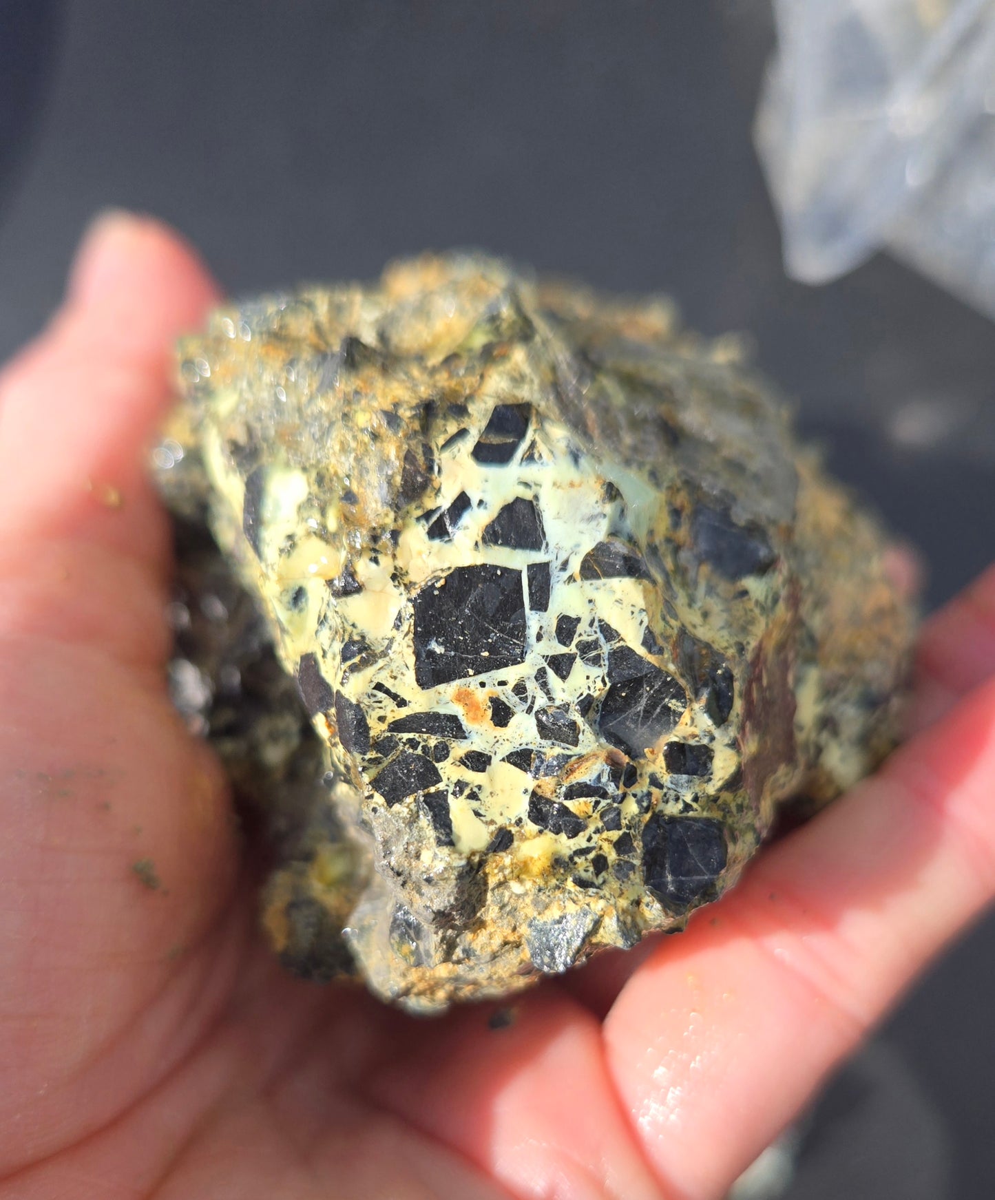 Gecko Variscite rough for cabbing -Natural Nevada Variscite- 448 grams lot 1