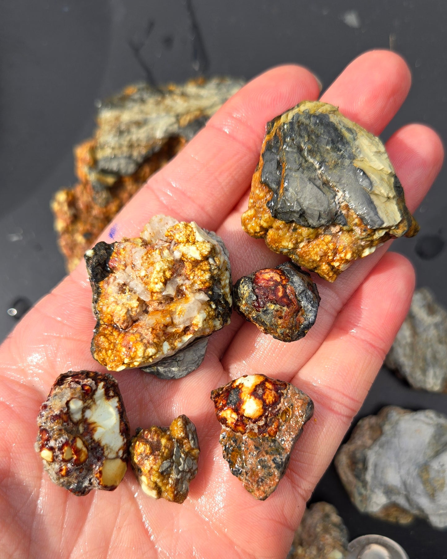 Aloe Variscite rough for cabbing - Natural Nevada Variscite-448 grams lot 2