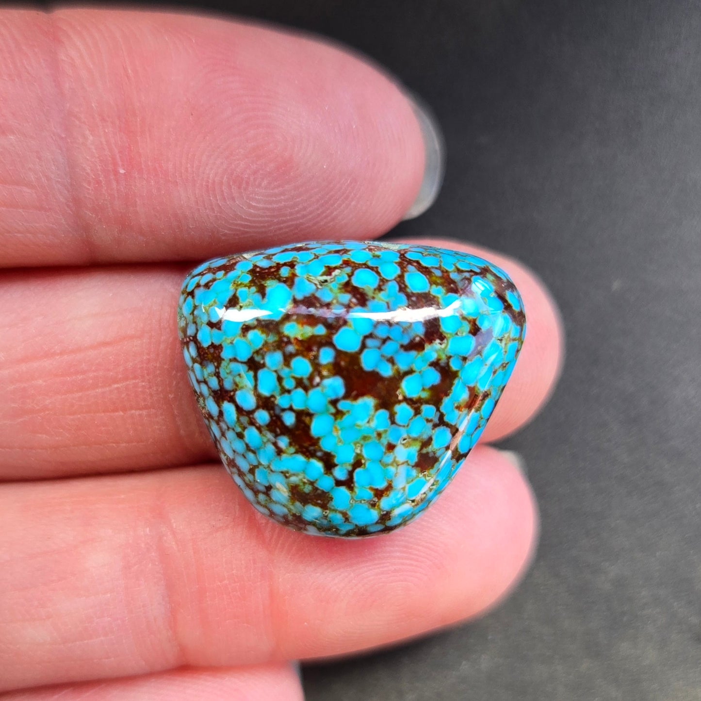 AAA Spiderweb Polychrome Kingman Turquoise Cabochon