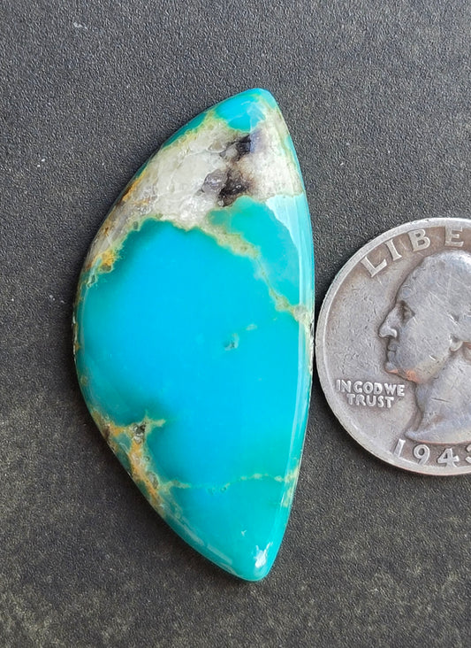 AAA Kingman Hardy Pit Turquoise Cabochon