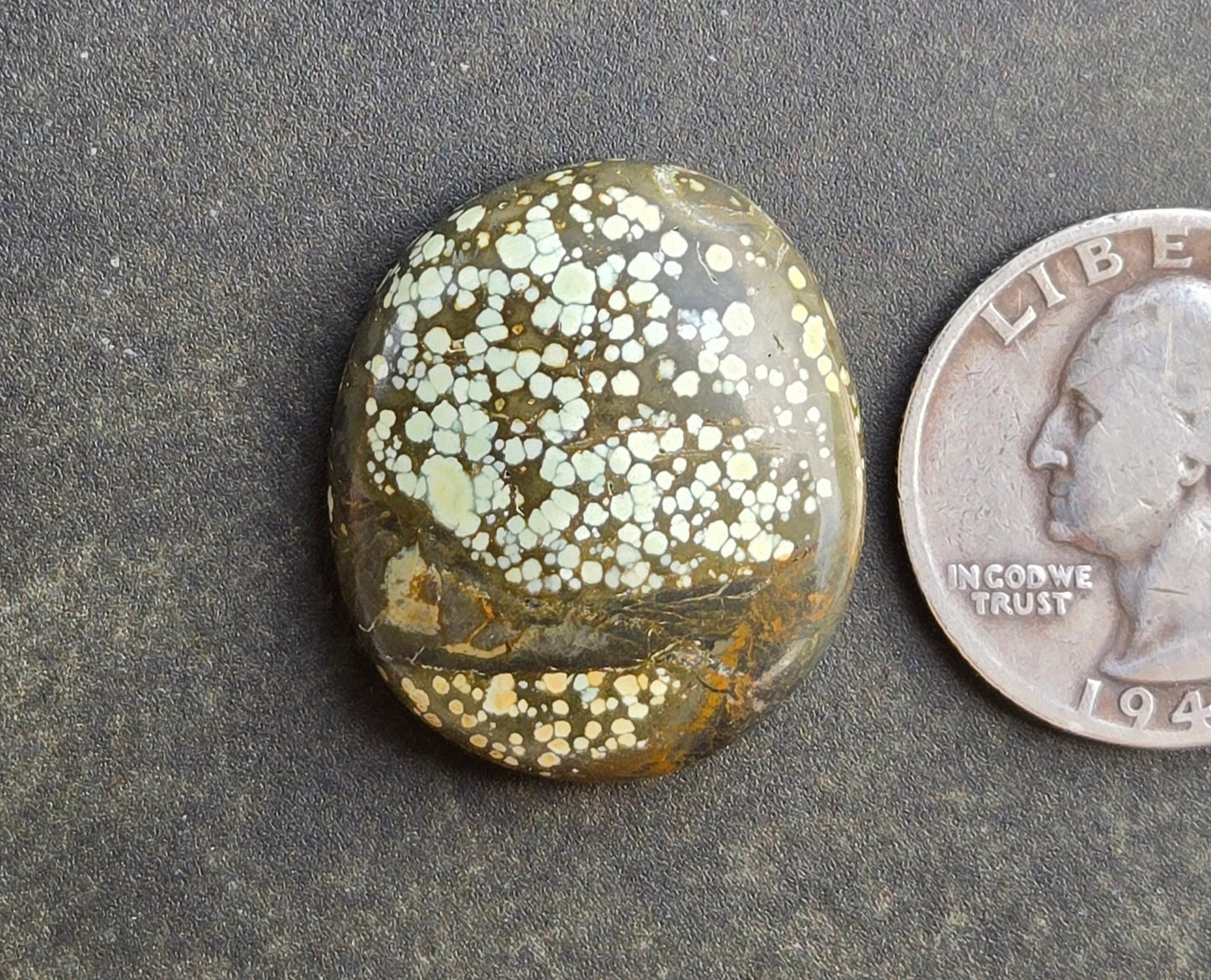 Turtleback Variscite Cabochon