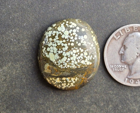 Turtleback Variscite Cabochon