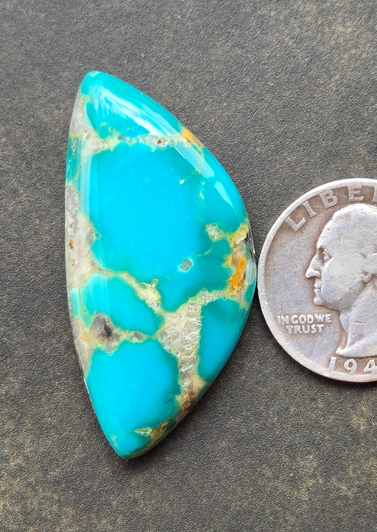 AAA Kingman Hardy Pit Turquoise Cabochon
