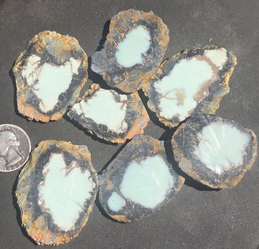 Aloe Variscite/Turquoise slabs for cabbing - Natural Nevada Variscite - 125 grams