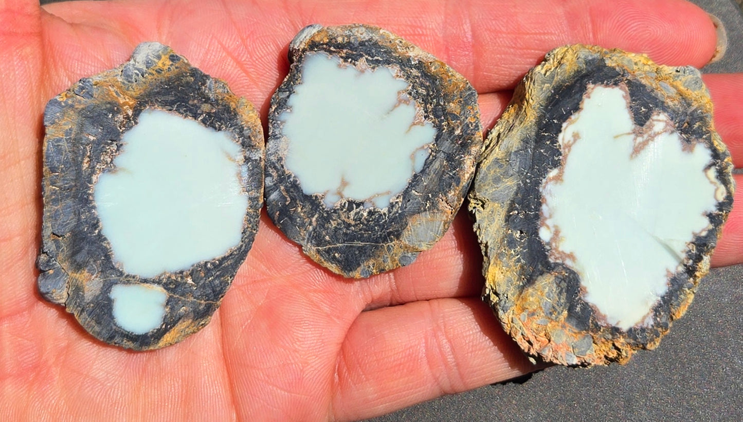 Aloe Variscite/Turquoise slabs for cabbing - Natural Nevada Variscite - 125 grams