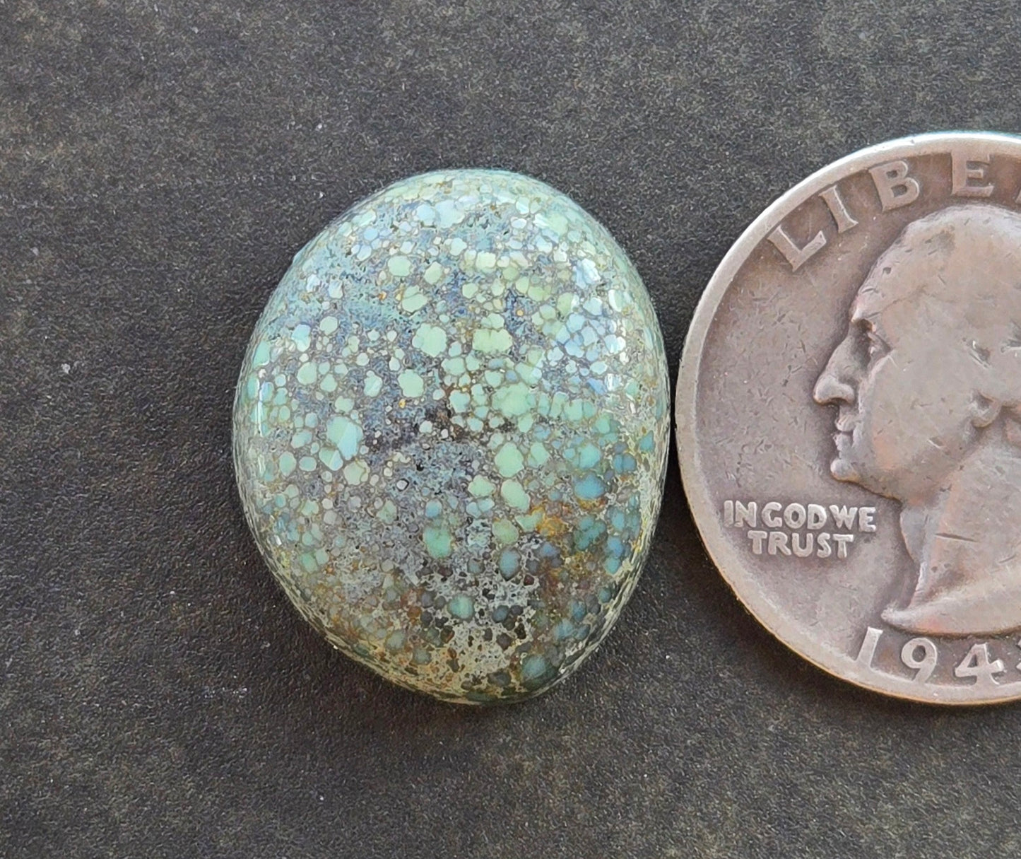 Turtleback Variscite Cabochon