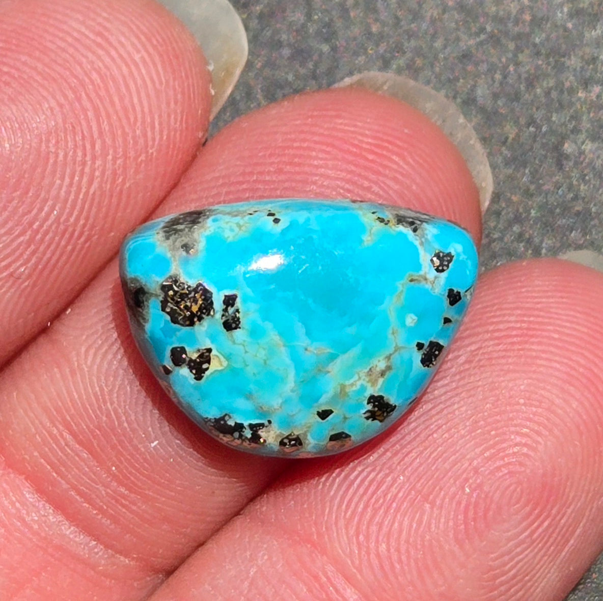Alpine Village Turquoise Cabochon