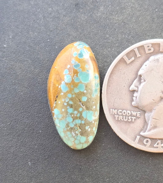 Turtleback Variscite Cabochon