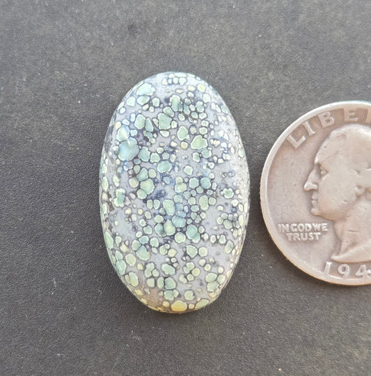 Desert Bloom Variscite Cabochon