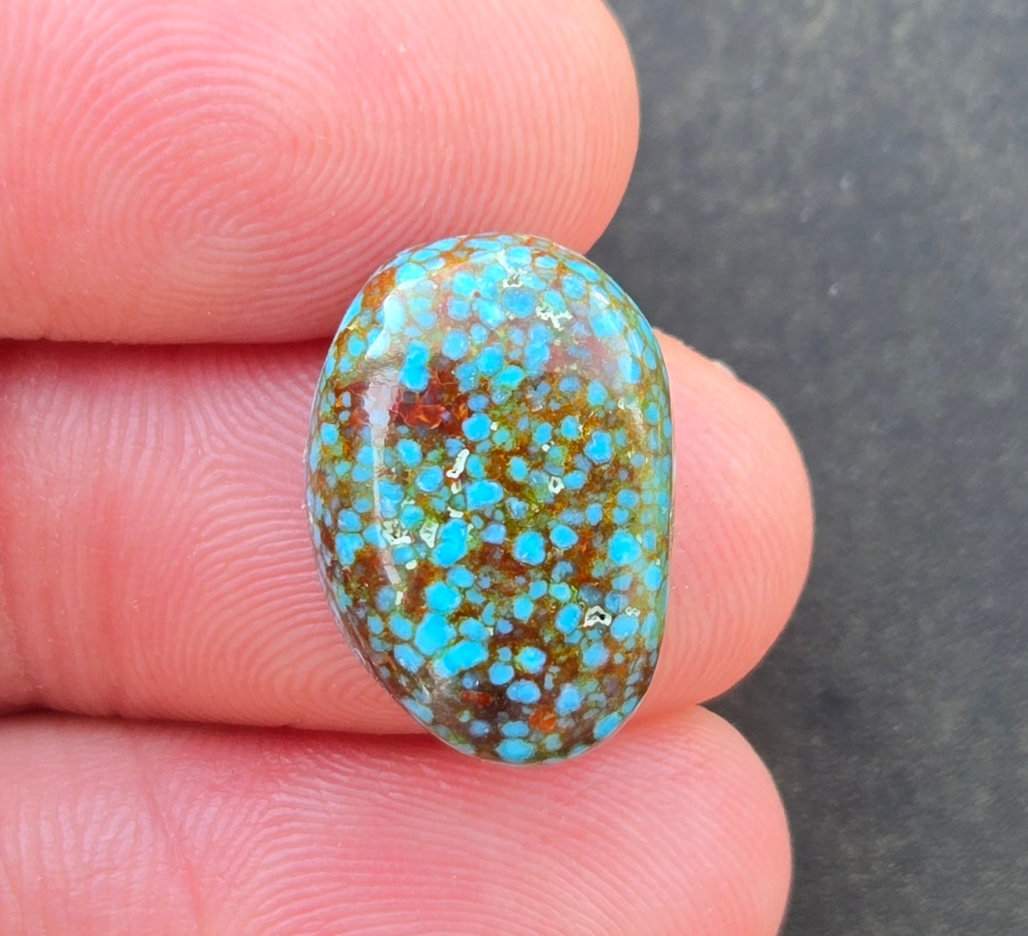 AAA Spiderweb Polychrome Kingman Turquoise Cabochon