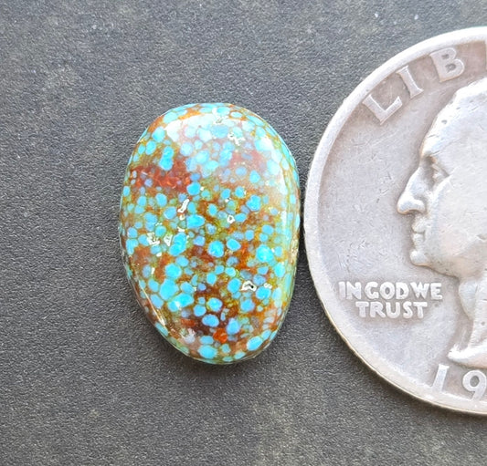 AAA Spiderweb Polychrome Kingman Turquoise Cabochon