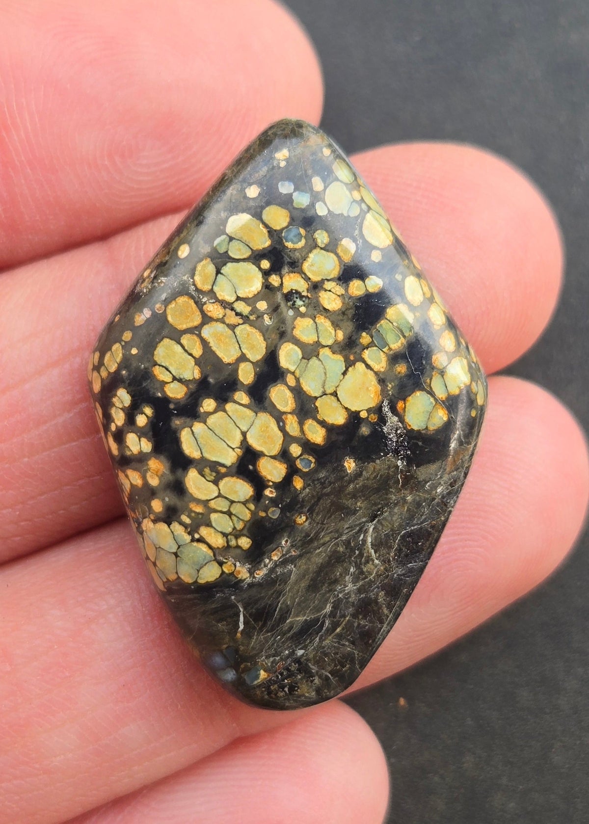 Desert Bloom Variscite Cabochon