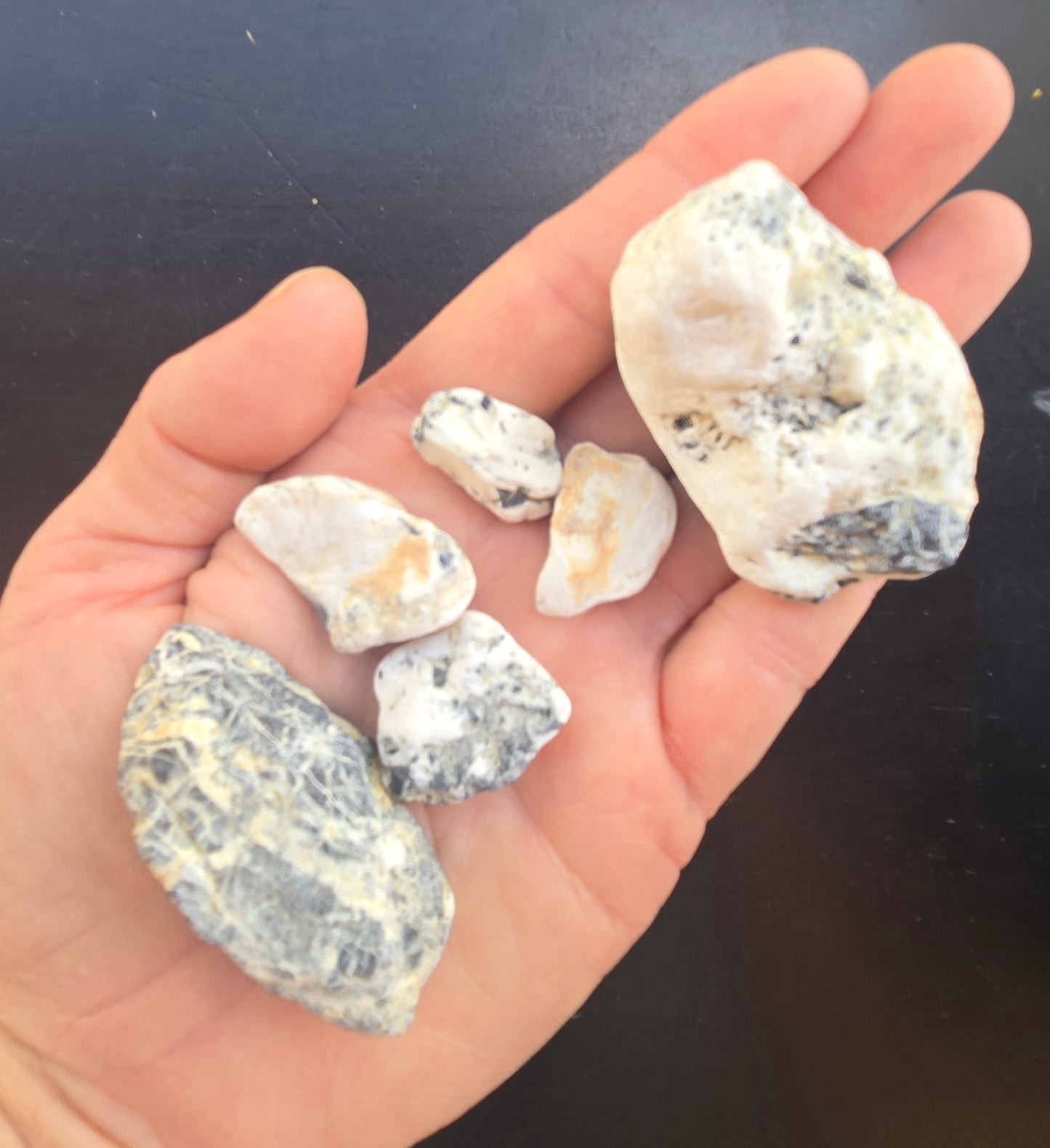 Natural Nevada White Buffalo rough for cabbing - 112 grams
