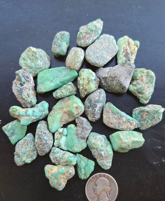 Blue Boy Variscite solid green rough for cabbing - Natural Nevada Variscite- 120 grams