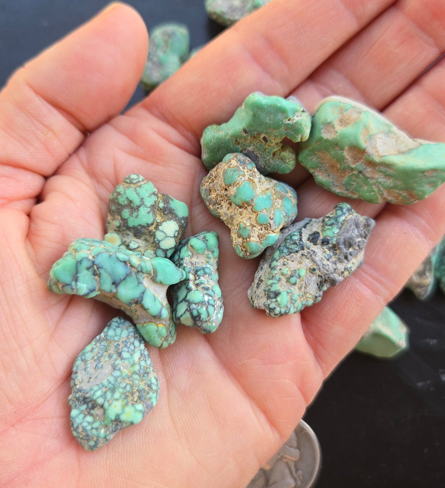 Blue Boy Variscite solid green rough for cabbing - Natural Nevada Variscite- 120 grams