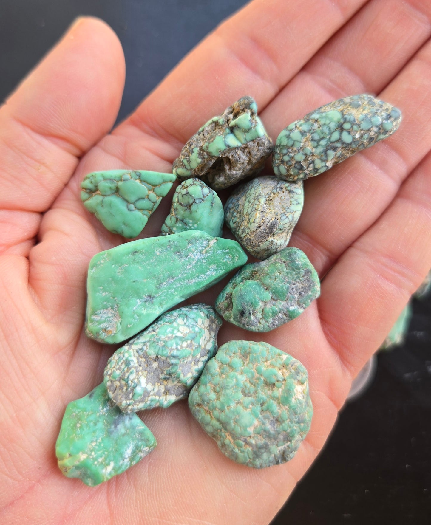 Blue Boy Variscite solid green rough for cabbing - Natural Nevada Variscite- 120 grams