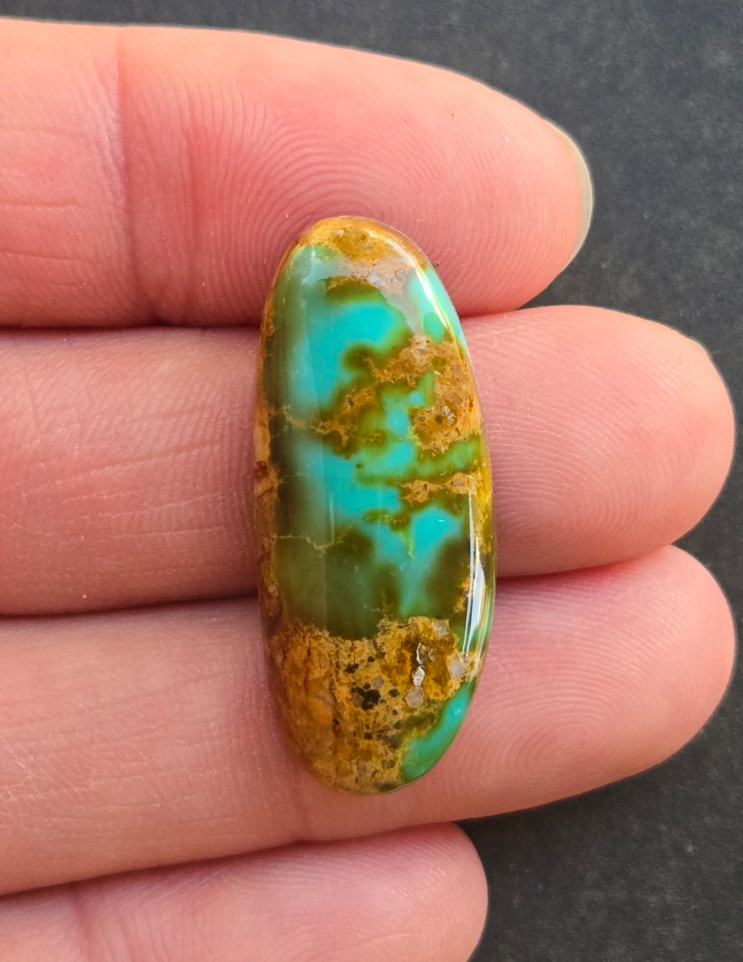 AAA Kingman Rising Phoenix Turquoise Cabochon