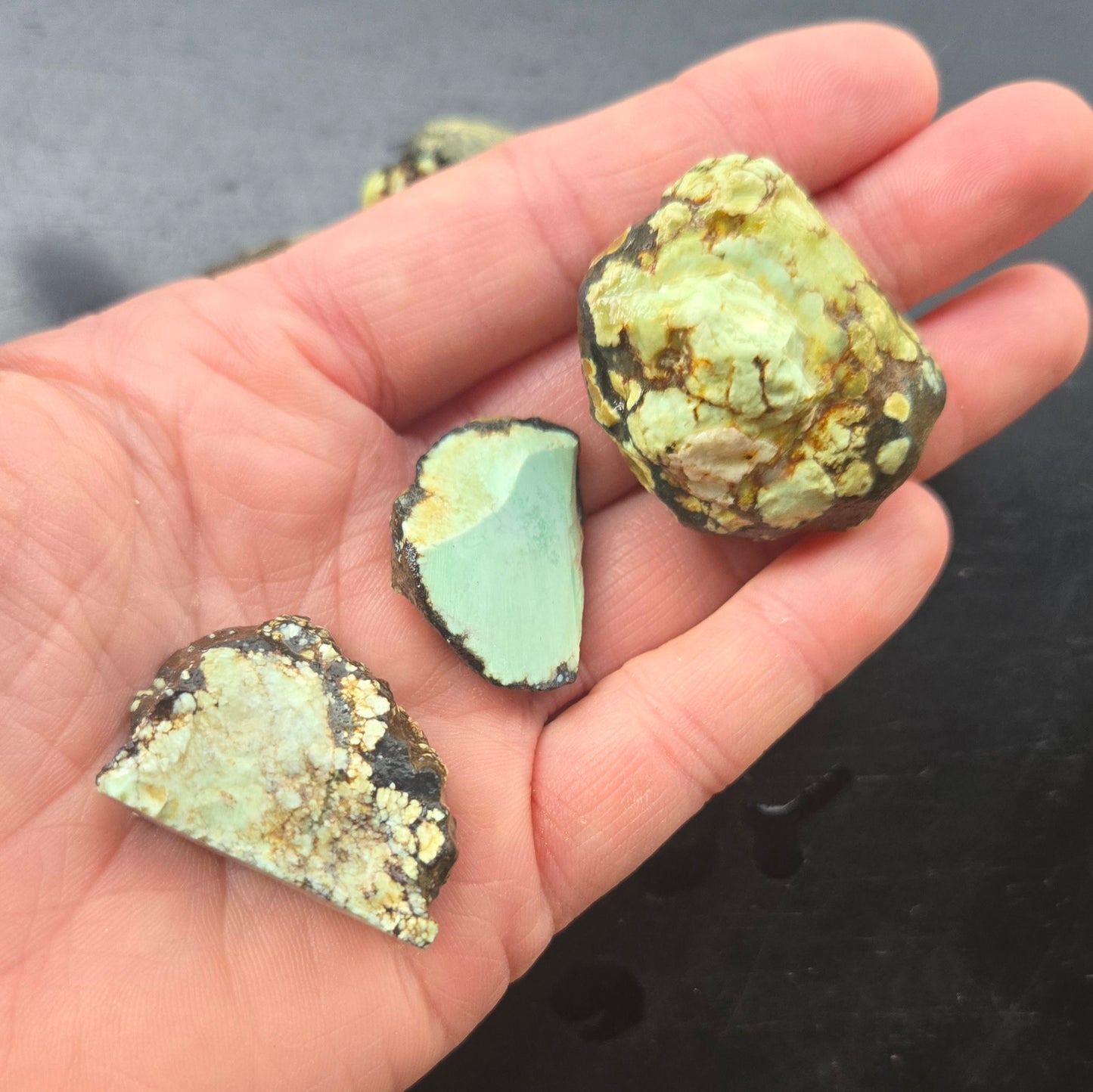 Seven Dwarfs Variscite 7D - rough for cabbing - Natural Nevada Variscite- 118 grams