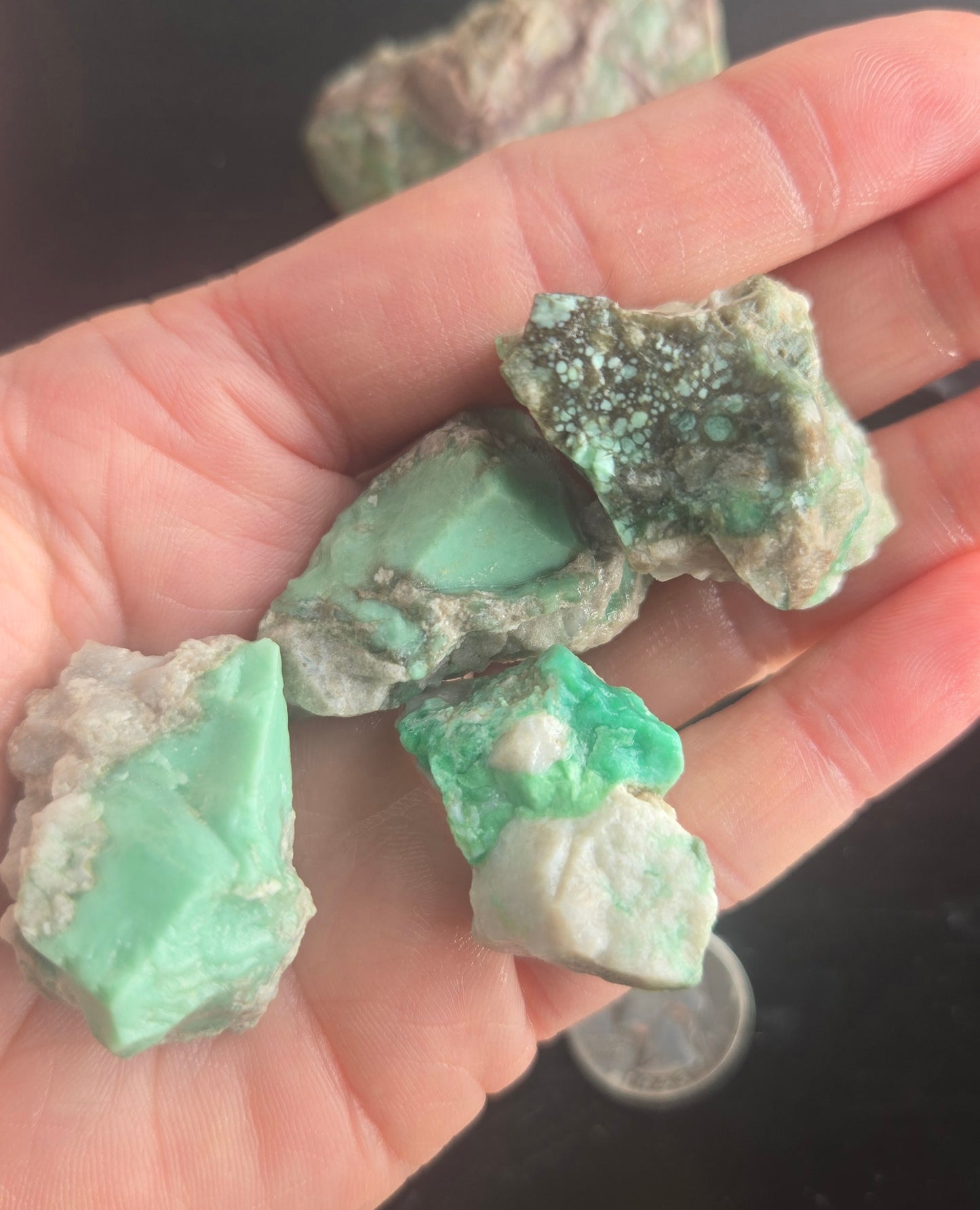 Lucin Variscite Rough for cabbing - Natural Utah Variscite- 250 gram lot