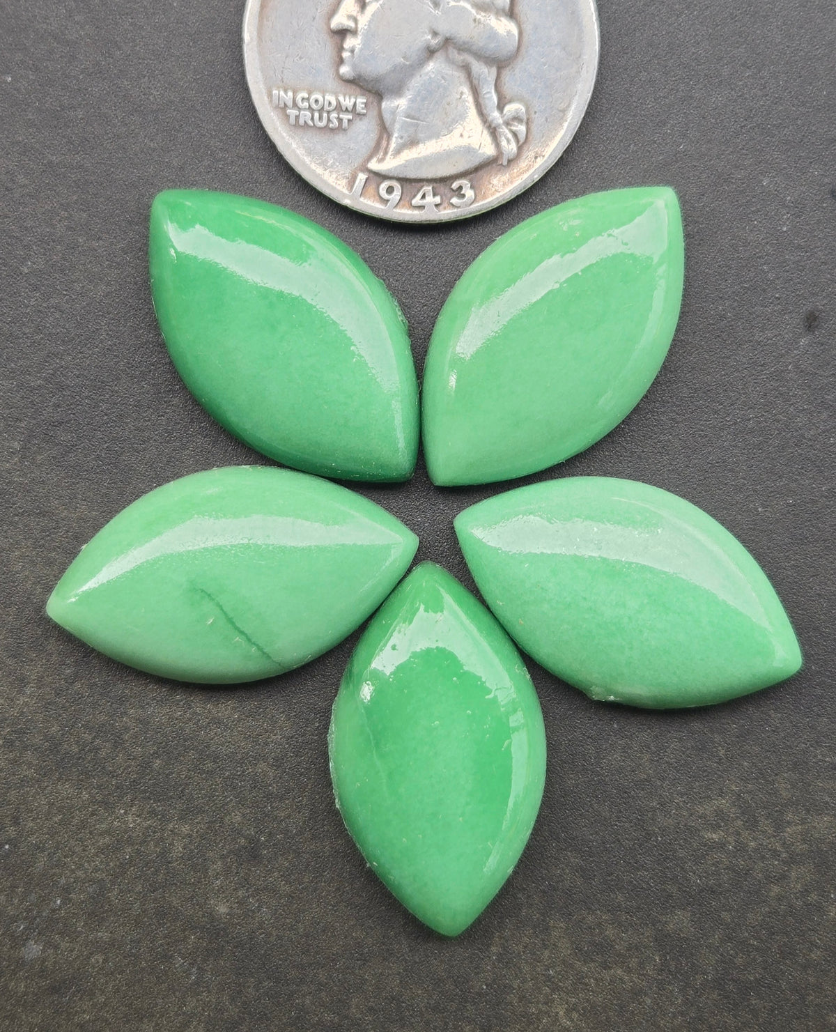 Lucin Variscite Cabochon Set of 5 - lot 3
