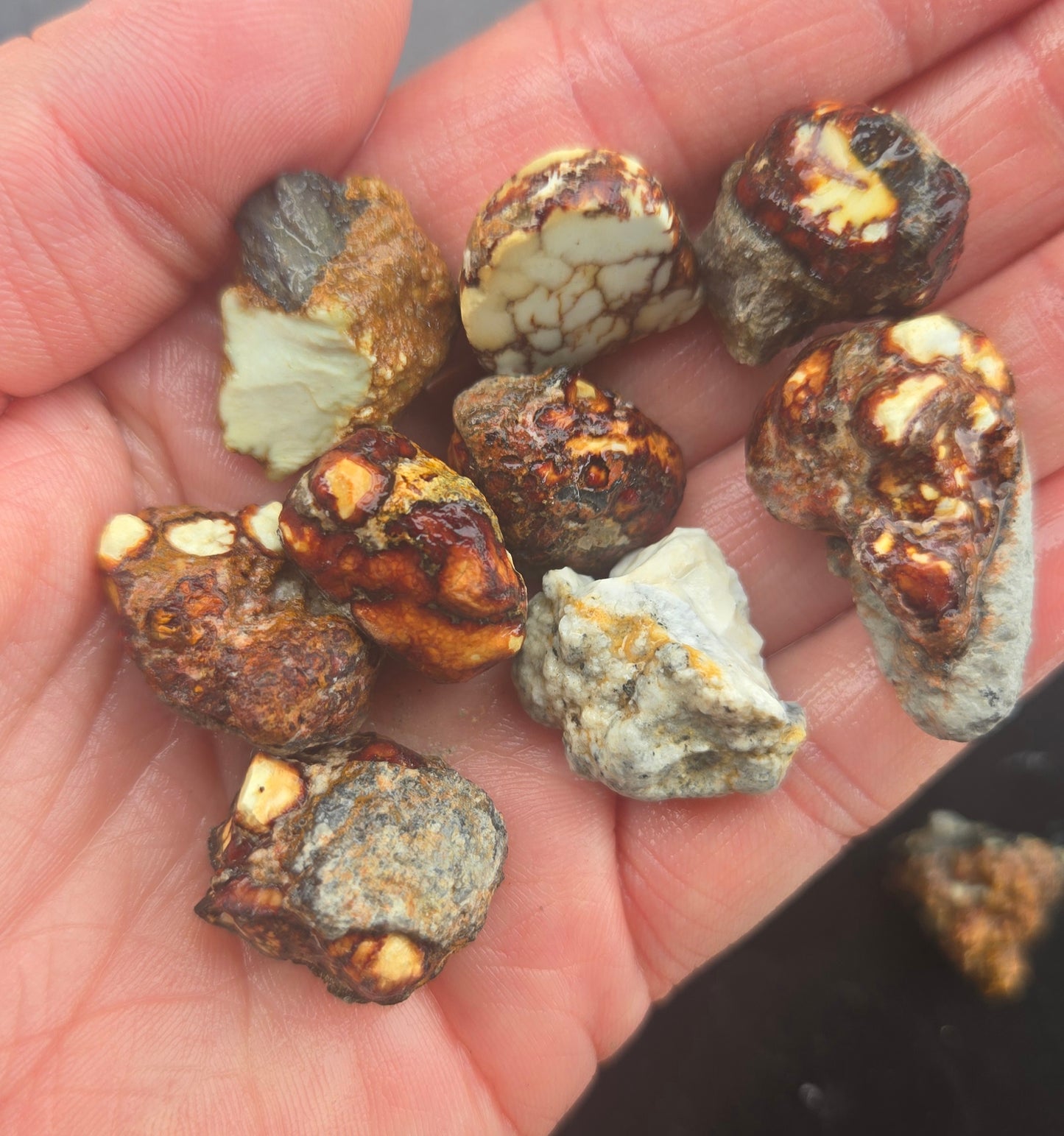 Aloe Variscite rough for cabbing - Natural Nevada Variscite- 112 gram lot