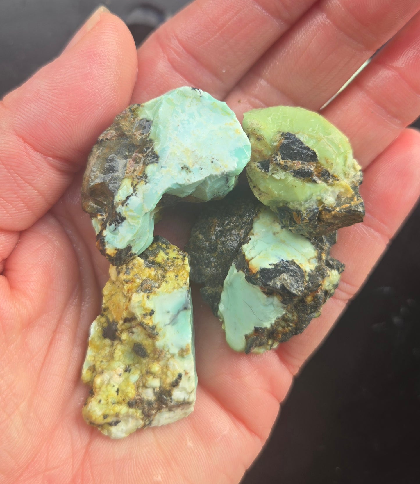 Gecko Variscite rough for cabbing -Natural Nevada Variscite- 112 grams lot 1