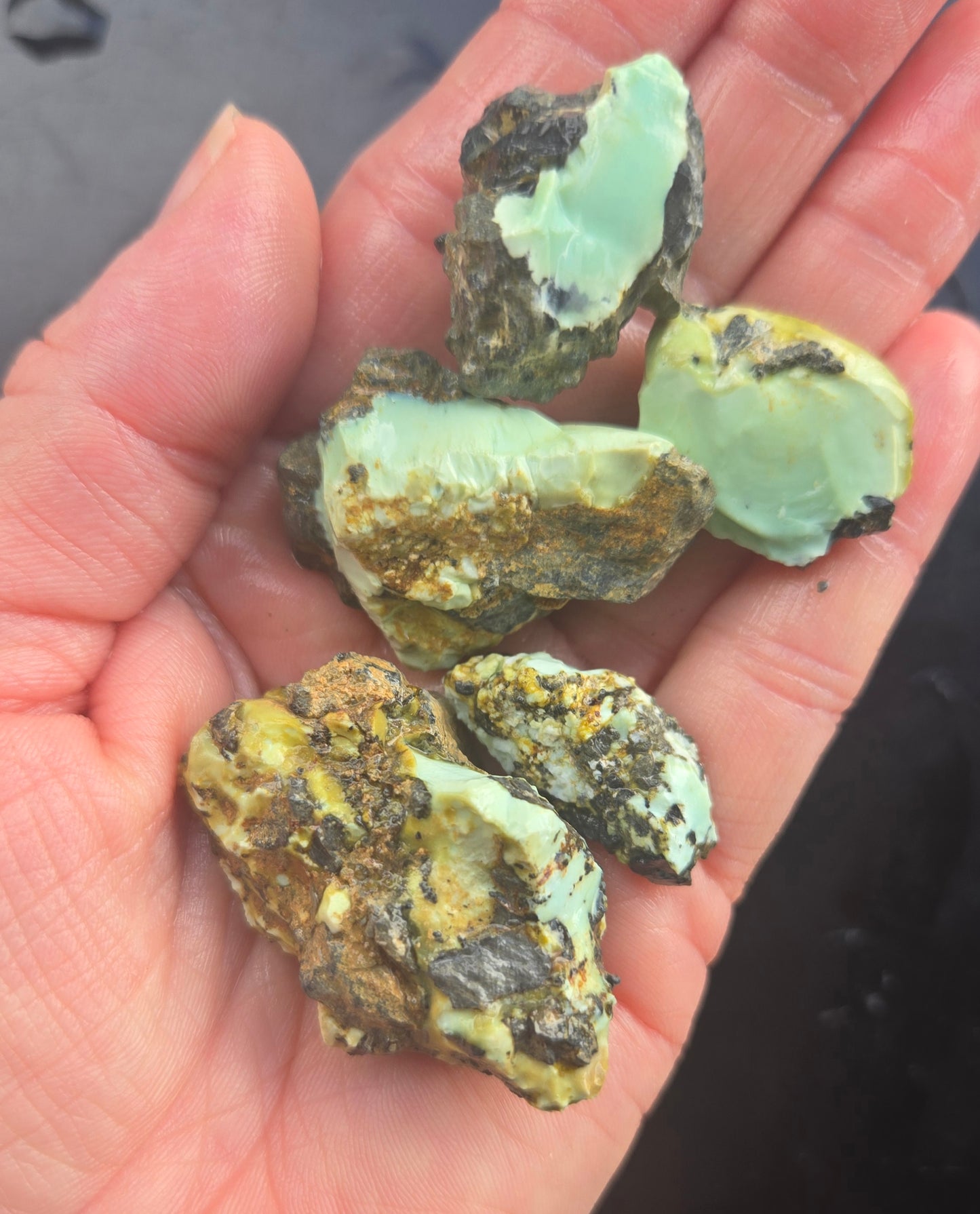 Gecko Variscite rough for cabbing -Natural Nevada Variscite- 112 grams lot 1