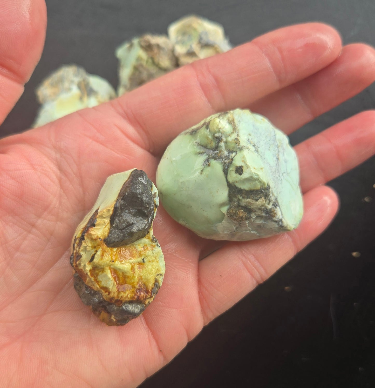 Gecko Variscite rough for cabbing -Natural Nevada Variscite- 224 grams lot 3