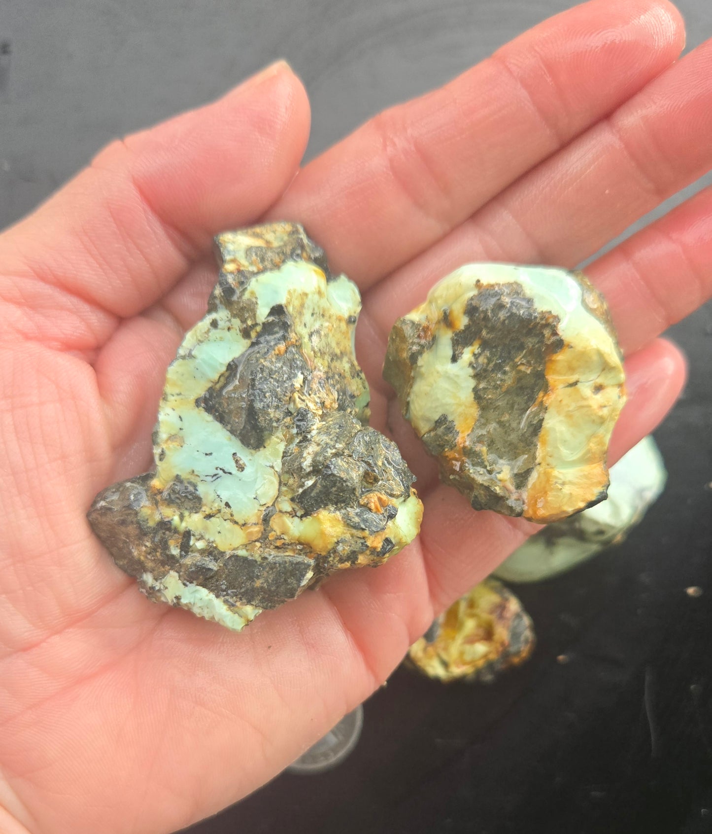 Gecko Variscite rough for cabbing -Natural Nevada Variscite- 224 grams lot 3