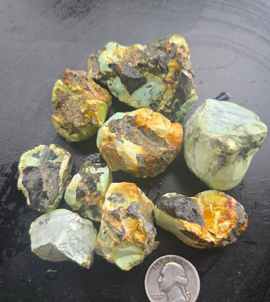 Gecko Variscite rough for cabbing -Natural Nevada Variscite- 224 grams lot 3