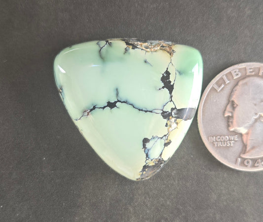 Gecko Variscite Cabochon