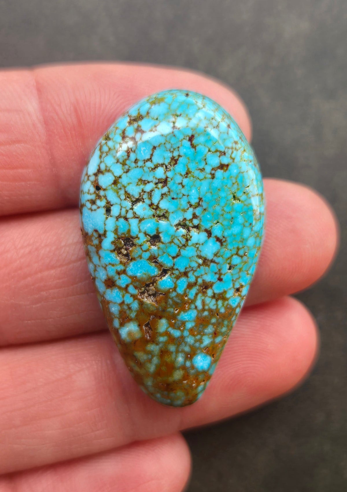 AAA Spiderweb Polychrome Kingman Turquoise Cabochon