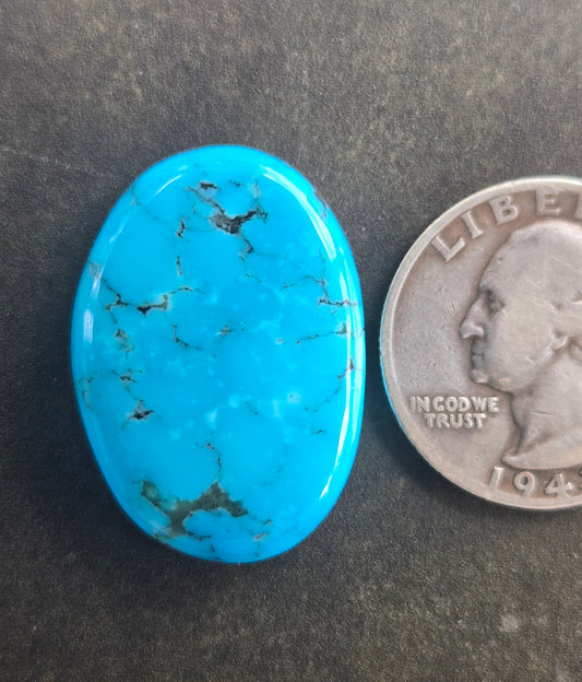 AAA Ithaca Peak Turquoise Cabochon