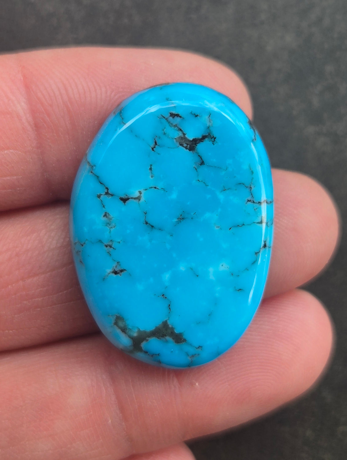 AAA Ithaca Peak Turquoise Cabochon