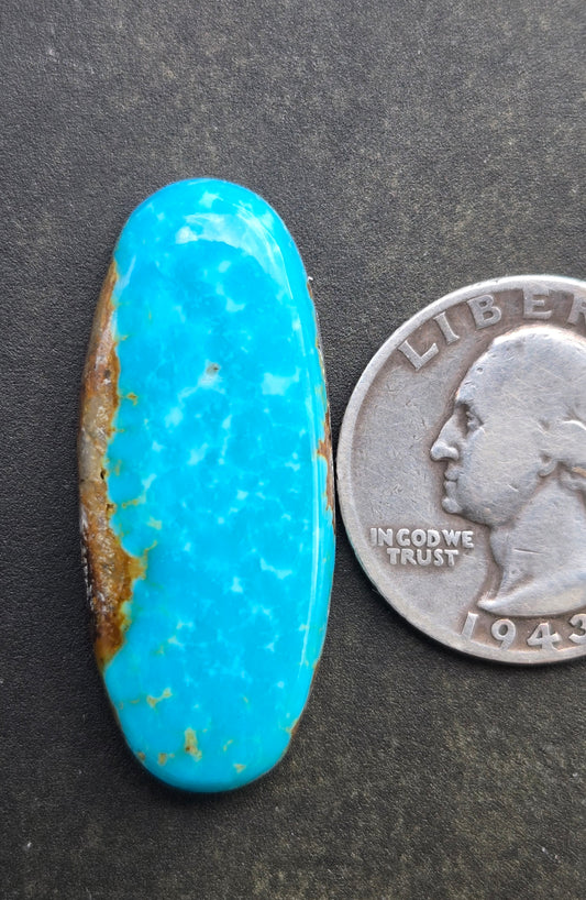 AAA Kingman Rising Phoenix Turquoise Cabochon